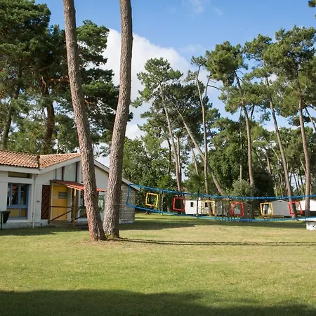 Sous Les Pins By Popinns