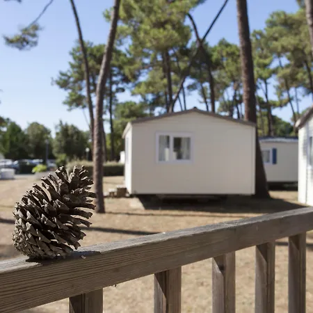 Sous Les Pins 4* Ronce-les-Bains