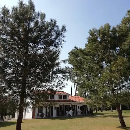 Résidence Sous Les Pins Village de vacances