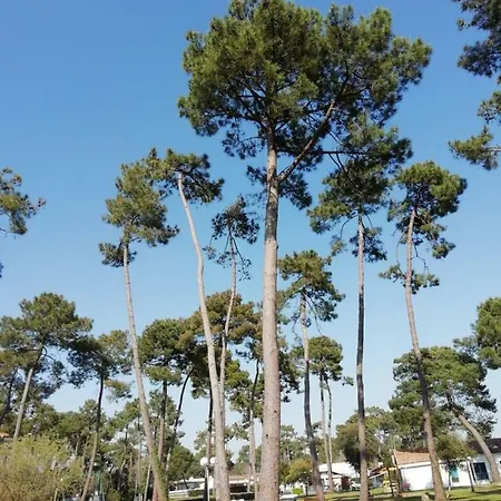 Résidence Sous Les Pins